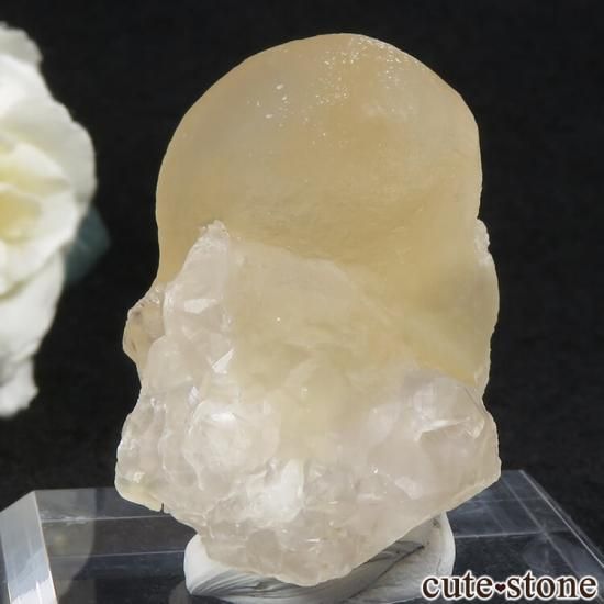 Υե饤ȡĤθ ɻ 50.9gμ̿2 cute stone