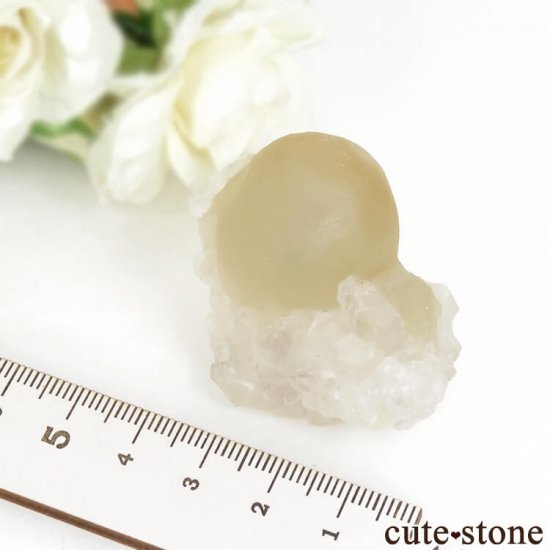 Υե饤ȡĤθ ɻ 50.9gμ̿5 cute stone
