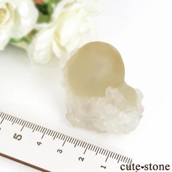 Υե饤ȡĤθ ɻ 50.9gμ̿5 cute stone