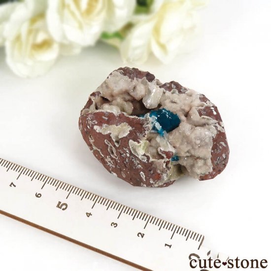  ץ͡ Х󥵥Ȥθ 72.3gμ̿3 cute stone