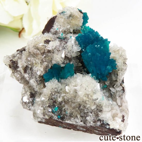  ץ͡ Х󥵥Ȥθ 34gμ̿0 cute stone