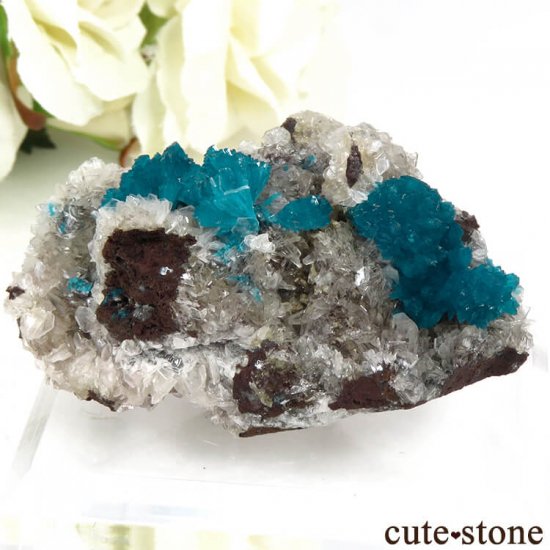  ץ͡ Х󥵥Ȥθ 34gμ̿1 cute stone