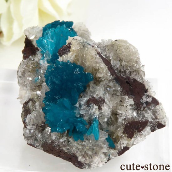 ץ͡ Х󥵥Ȥθ 34gμ̿2 cute stone
