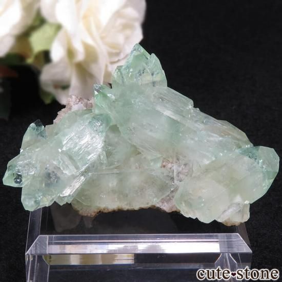  륬 ꡼󥢥ݥե饤Ȥθ 39.5g