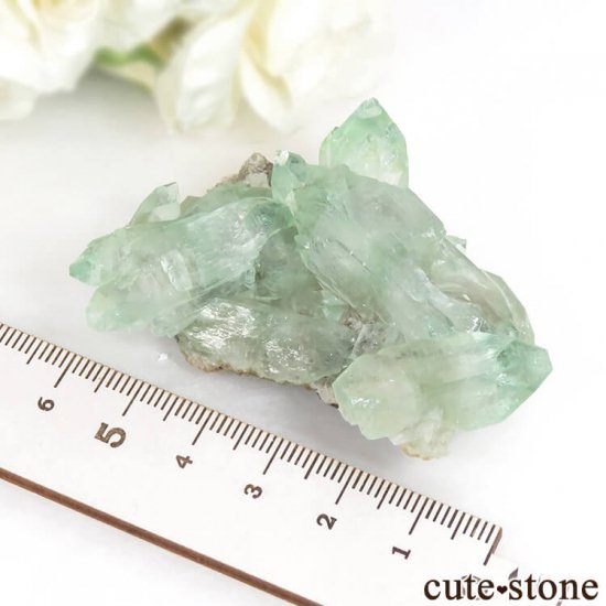  륬 ꡼󥢥ݥե饤Ȥθ 39.5gμ̿6 cute stone