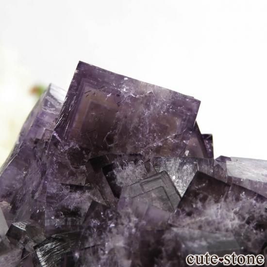 󥰥ɡʥꥹ ꡼Υѡץե饤Ȥθ 107gμ̿0 cute stone