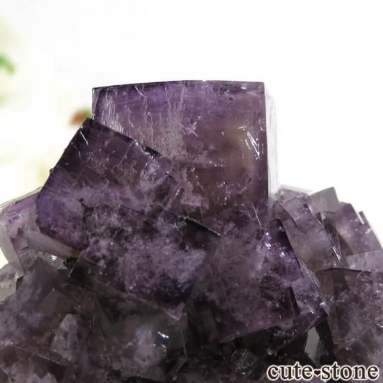 󥰥ɡʥꥹ ꡼Υѡץե饤Ȥθ 107gμ̿1 cute stone