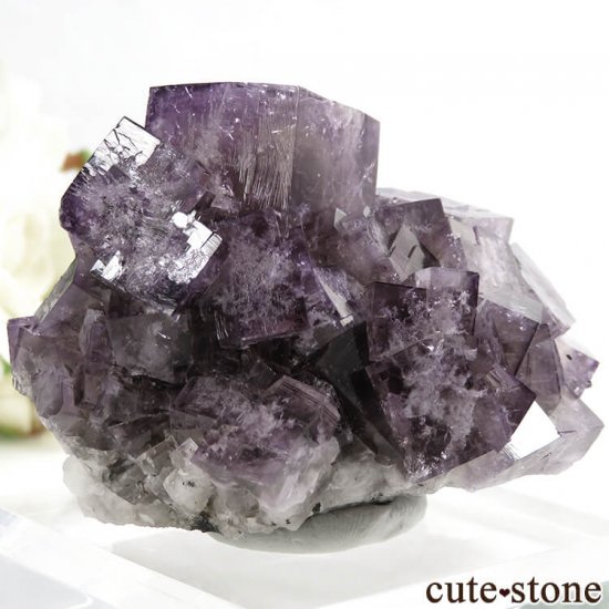 󥰥ɡʥꥹ ꡼Υѡץե饤Ȥθ 107gμ̿2 cute stone