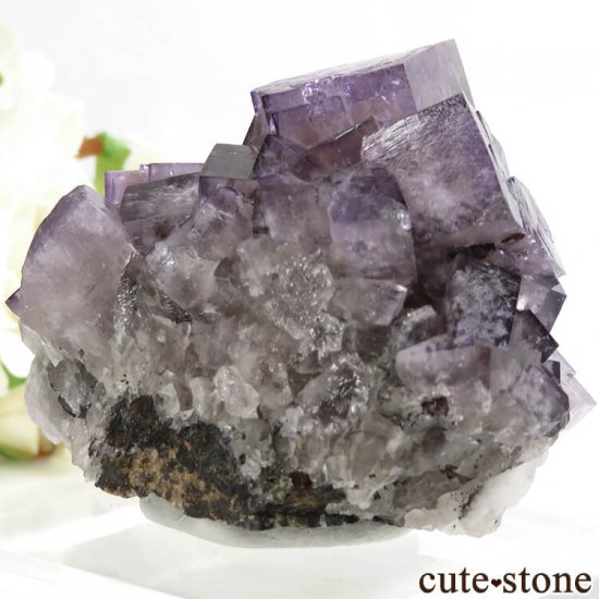 󥰥ɡʥꥹ ꡼Υѡץե饤Ȥθ 107gμ̿3 cute stone