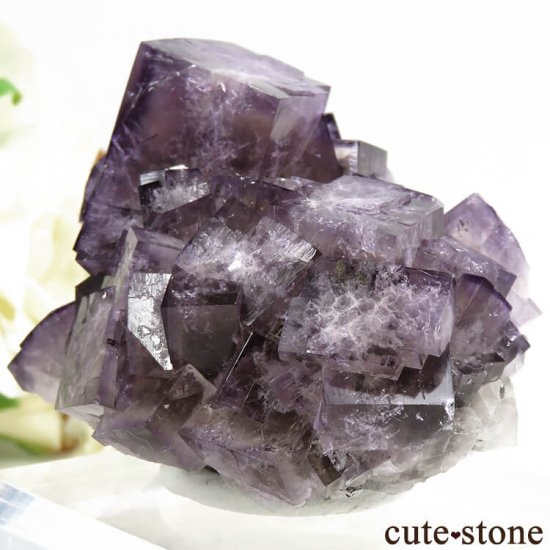 󥰥ɡʥꥹ ꡼Υѡץե饤Ȥθ 107gμ̿4 cute stone