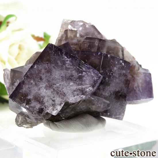 󥰥ɡʥꥹ ꡼Υѡץե饤Ȥθ 87.5gμ̿0 cute stone