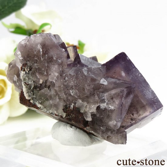 󥰥ɡʥꥹ ꡼Υѡץե饤Ȥθ 87.5gμ̿1 cute stone