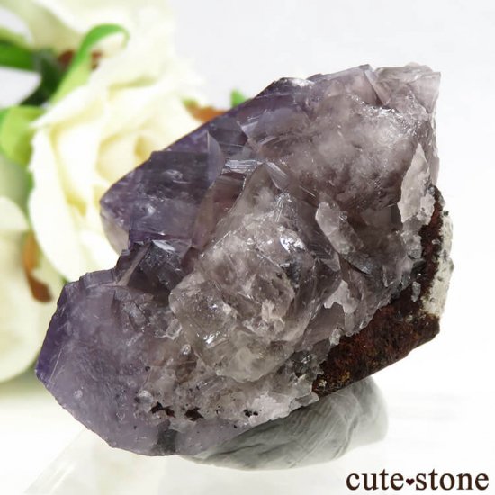 󥰥ɡʥꥹ ꡼Υѡץե饤Ȥθ 87.5gμ̿2 cute stone