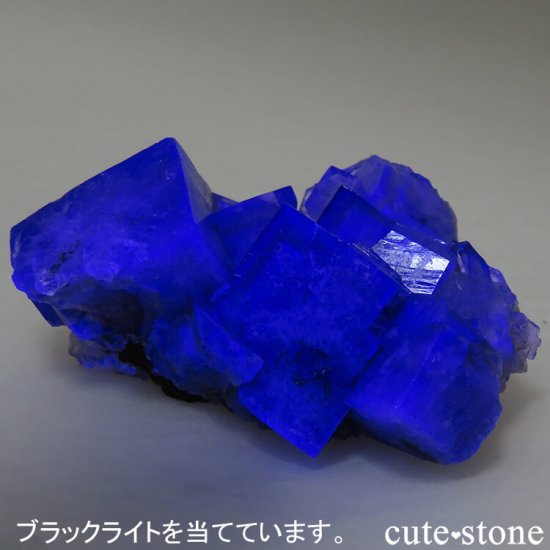 󥰥ɡʥꥹ ꡼Υѡץե饤Ȥθ 87.5gμ̿5 cute stone