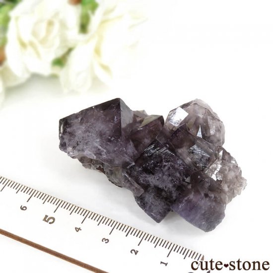 󥰥ɡʥꥹ ꡼Υѡץե饤Ȥθ 87.5gμ̿6 cute stone