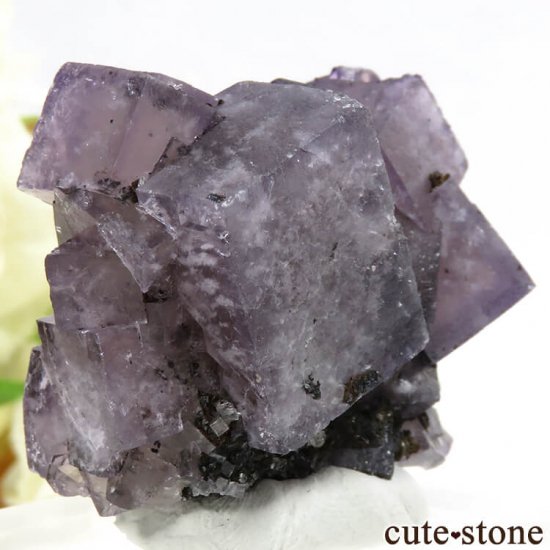 󥰥ɡʥꥹ ꡼Υѡץե饤Ȥθ 47gμ̿2 cute stone