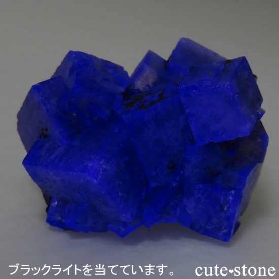 󥰥ɡʥꥹ ꡼Υѡץե饤Ȥθ 47gμ̿5 cute stone
