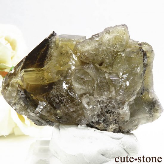 󥰥ɡʥꥹ ꡼Υե饤Ȥθ 117gμ̿1 cute stone