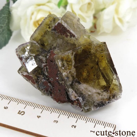 󥰥ɡʥꥹ ꡼Υե饤Ȥθ 117gμ̿6 cute stone