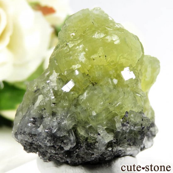 󥶥˥ ˻ ץʥȡ륵Ȥθ 36.1gμ̿0 cute stone
