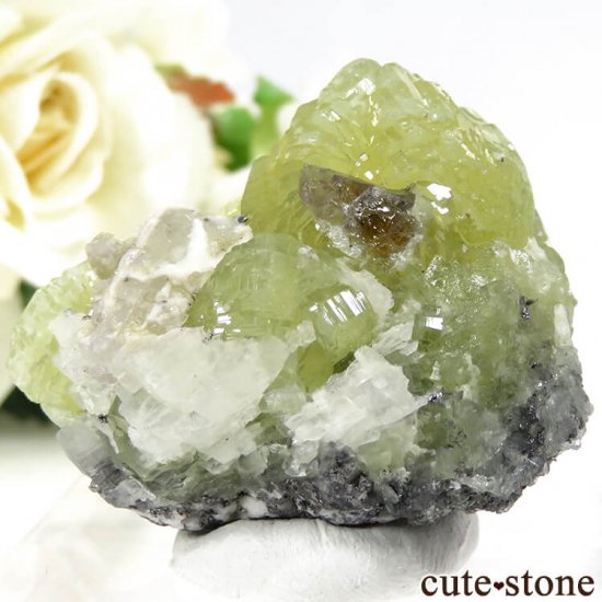 󥶥˥ ˻ ץʥȡ륵Ȥθ 36.1gμ̿2 cute stone