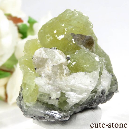 󥶥˥ ˻ ץʥȡ륵Ȥθ 36.1gμ̿3 cute stone