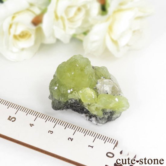 󥶥˥ ˻ ץʥȡ륵Ȥθ 36.1gμ̿5 cute stone