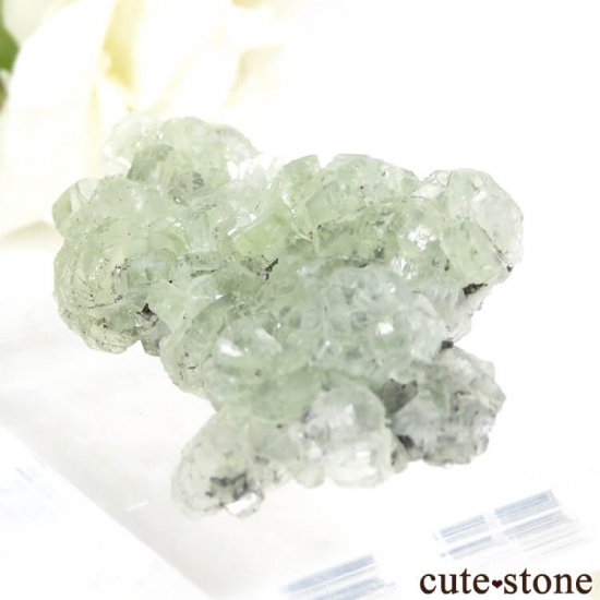 󥶥˥ ˻ ץʥȤθ 13.7gμ̿0 cute stone