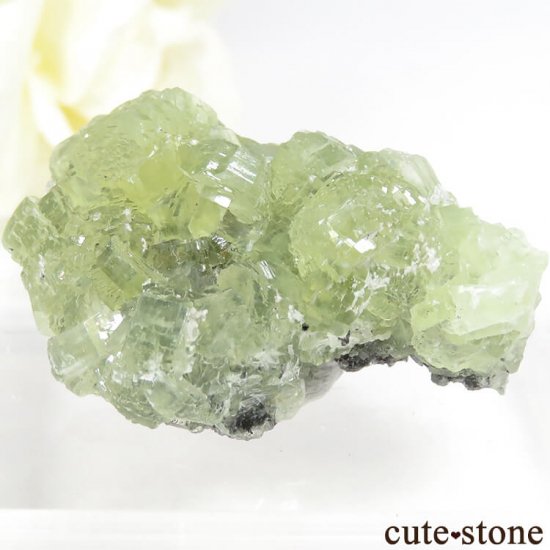 タンザニア メレラニ産 プレナイトの原石 19.7g - cute stone -