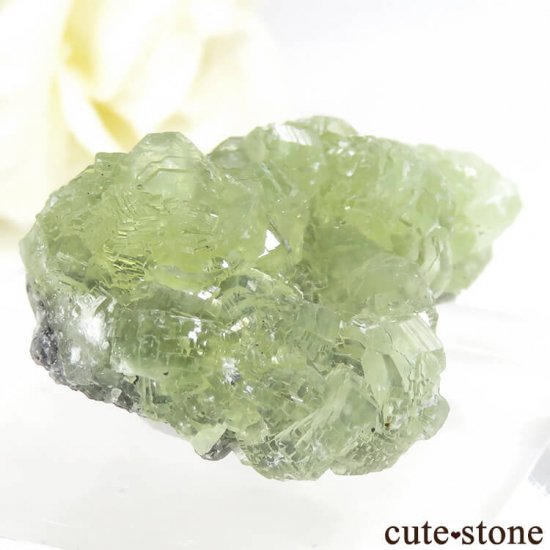 󥶥˥ ˻ ץʥȤθ 19.7gμ̿0 cute stone
