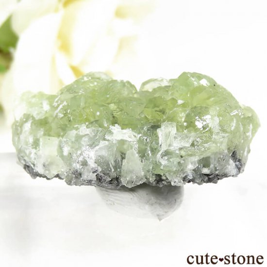 󥶥˥ ˻ ץʥȤθ 19.7gμ̿1 cute stone