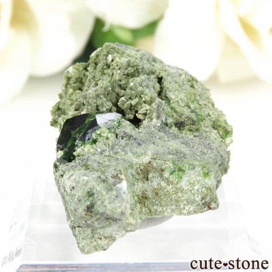  Belqeys MountainΥǥޥȥɥͥåȤդ 11.8gμ̿1 cute stone