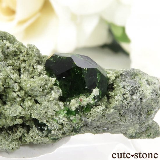  Belqeys MountainΥǥޥȥɥͥåȤդ 11.8gμ̿3 cute stone