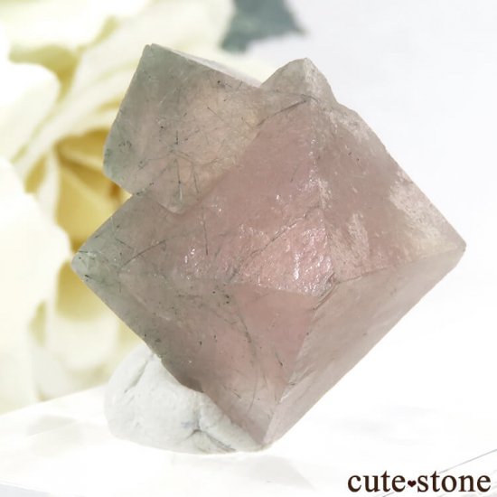  󥴥뻺Υԥ󥯥ե饤Ȥη뾽ʸС5.6gμ̿0 cute stone