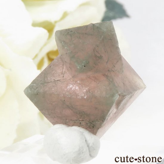  󥴥뻺Υԥ󥯥ե饤Ȥη뾽ʸС5.6gμ̿1 cute stone