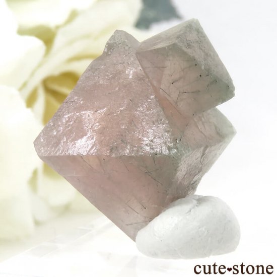  󥴥뻺Υԥ󥯥ե饤Ȥη뾽ʸС5.6gμ̿2 cute stone