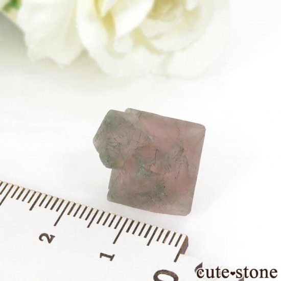  󥴥뻺Υԥ󥯥ե饤Ȥη뾽ʸС5.6gμ̿3 cute stone