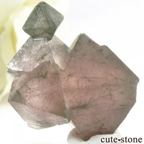  󥴥뻺Υԥ󥯥ե饤Ȥη뾽ʸС9.9gμ̿0 cute stone
