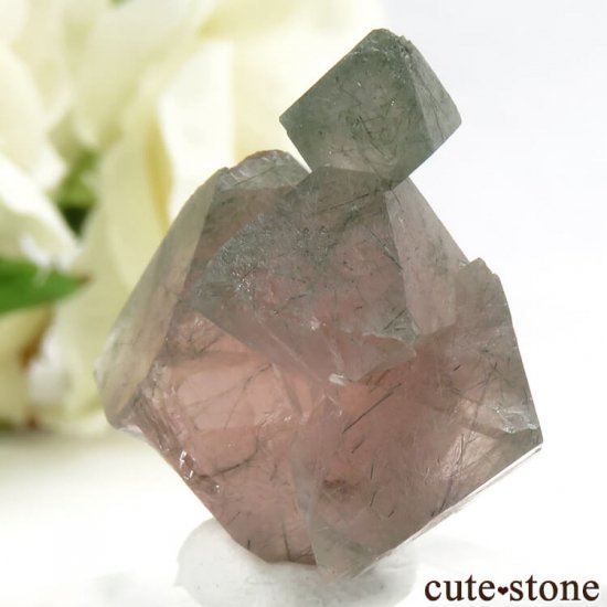  󥴥뻺Υԥ󥯥ե饤Ȥη뾽ʸС9.9gμ̿1 cute stone