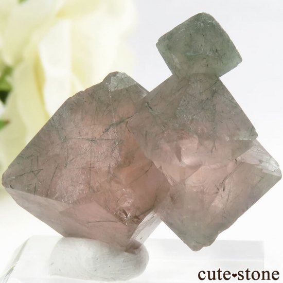  󥴥뻺Υԥ󥯥ե饤Ȥη뾽ʸС9.9gμ̿2 cute stone