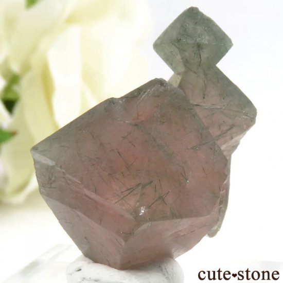  󥴥뻺Υԥ󥯥ե饤Ȥη뾽ʸС9.9gμ̿3 cute stone