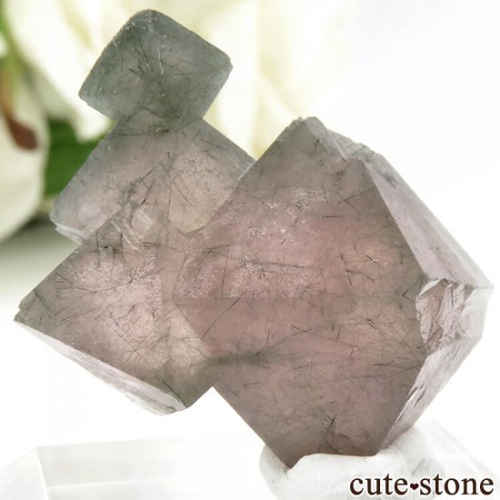  󥴥뻺Υԥ󥯥ե饤Ȥη뾽ʸС9.9gμ̿4 cute stone
