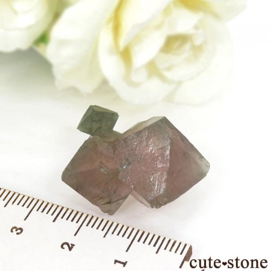  󥴥뻺Υԥ󥯥ե饤Ȥη뾽ʸС9.9gμ̿5 cute stone