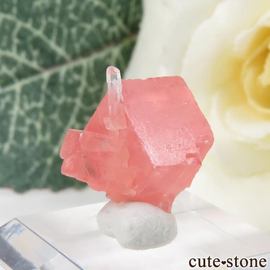  ȥۡۻΥɥȡĤθ 1.3gμ̿0 cute stone