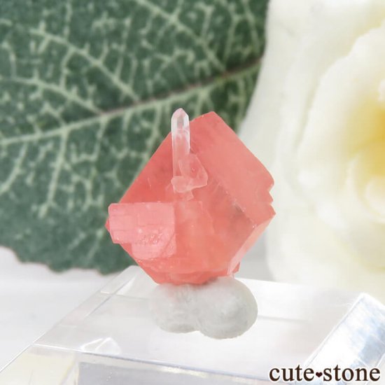  ȥۡۻΥɥȡĤθ 1.3gμ̿1 cute stone