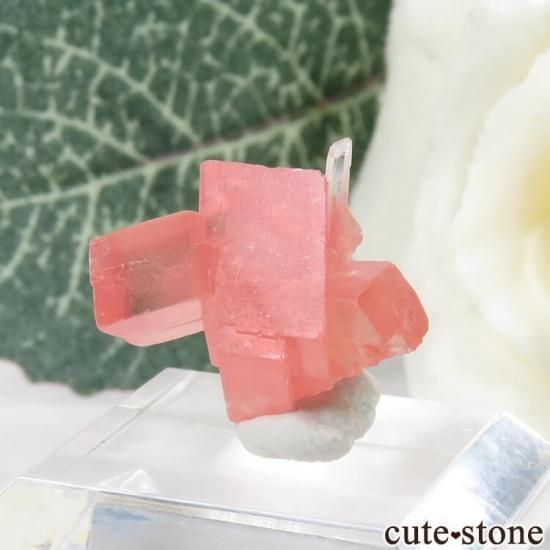  ȥۡۻΥɥȡĤθ 1.3gμ̿2 cute stone