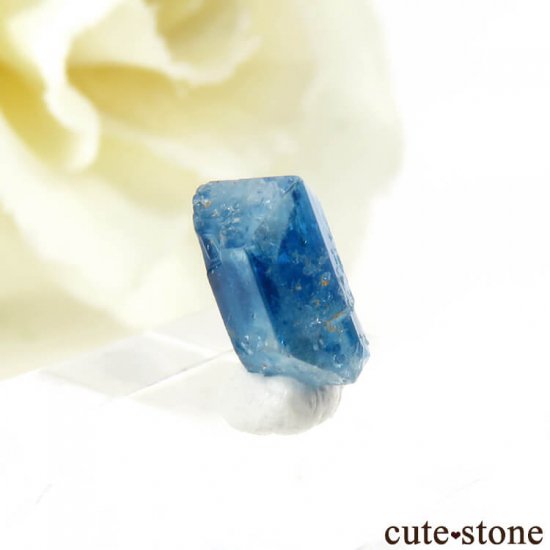 Х֥ 桼졼η뾽ʸС 0.8ctμ̿0 cute stone