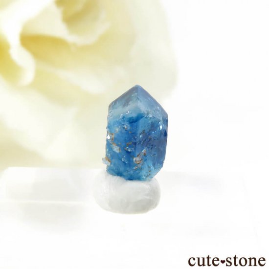 Х֥ 桼졼η뾽ʸС 0.8ctμ̿1 cute stone