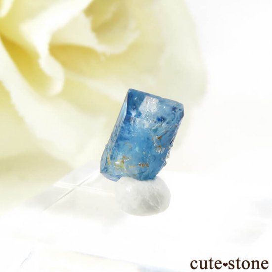 Х֥ 桼졼η뾽ʸС 0.8ctμ̿2 cute stone
