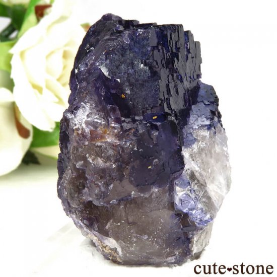 ᥭ Tule Mine ѡץ֥롼ե饤Ȥη뾽ʸС64.7gμ̿0 cute stone
